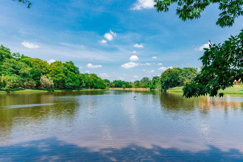 Vai investir em terrenos? Conheça o Condomínio Porto São Pedro e suas vantagens